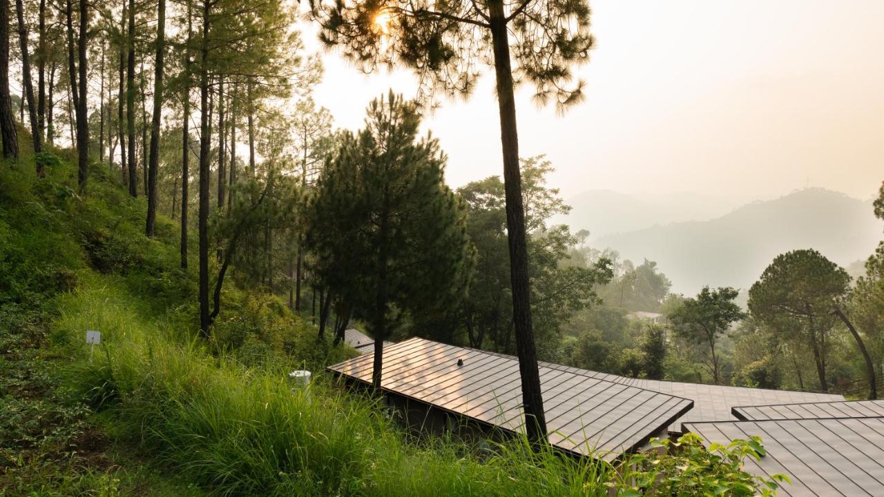 Amaya Kasauli Exteriér fotografie