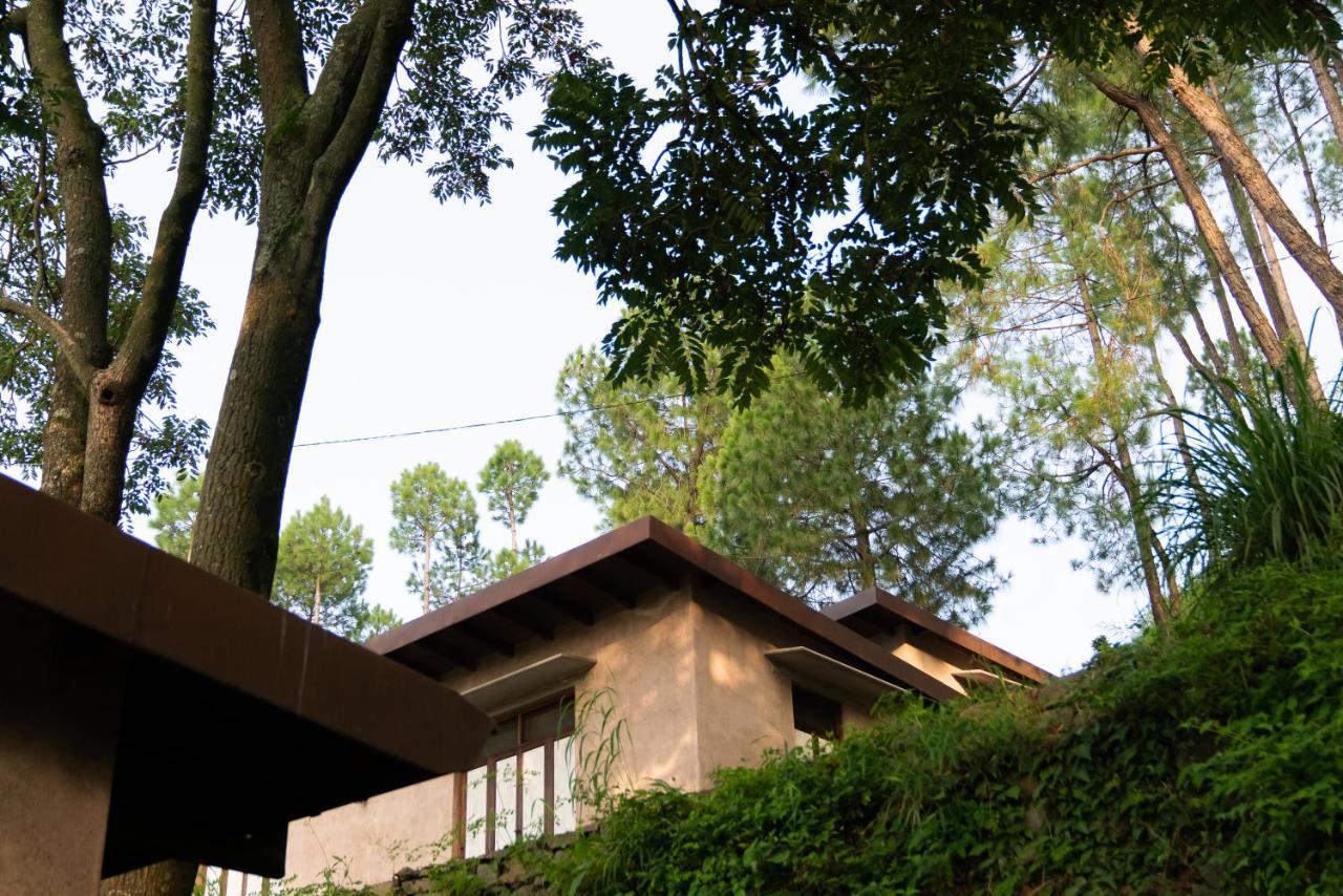 Amaya Kasauli Exteriér fotografie