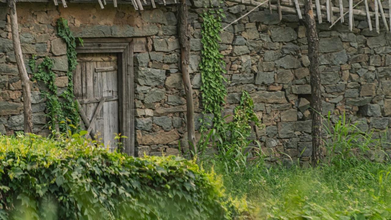 Amaya Kasauli Exteriér fotografie