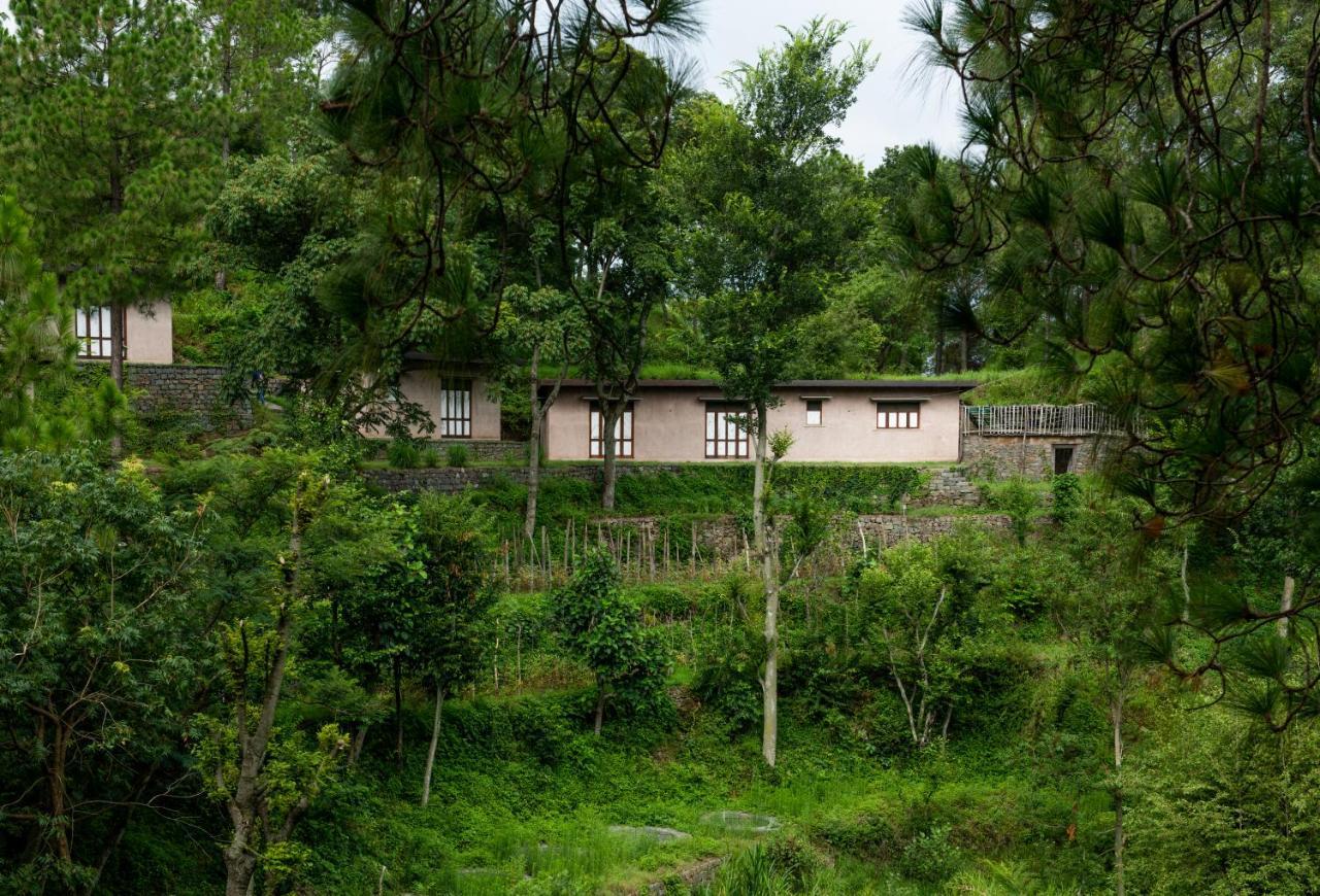 Amaya Kasauli Exteriér fotografie
