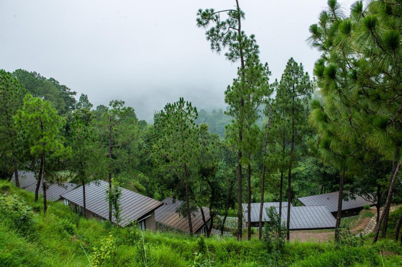 Amaya Kasauli Exteriér fotografie